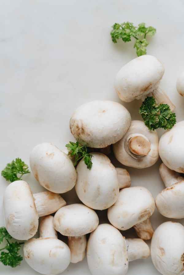 Like mushrooms? Now sell them from home to earn some extra cash during Covid-19